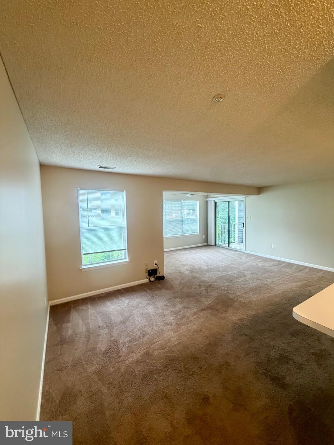 2703 SNOWBIRD Terrace – photo 4