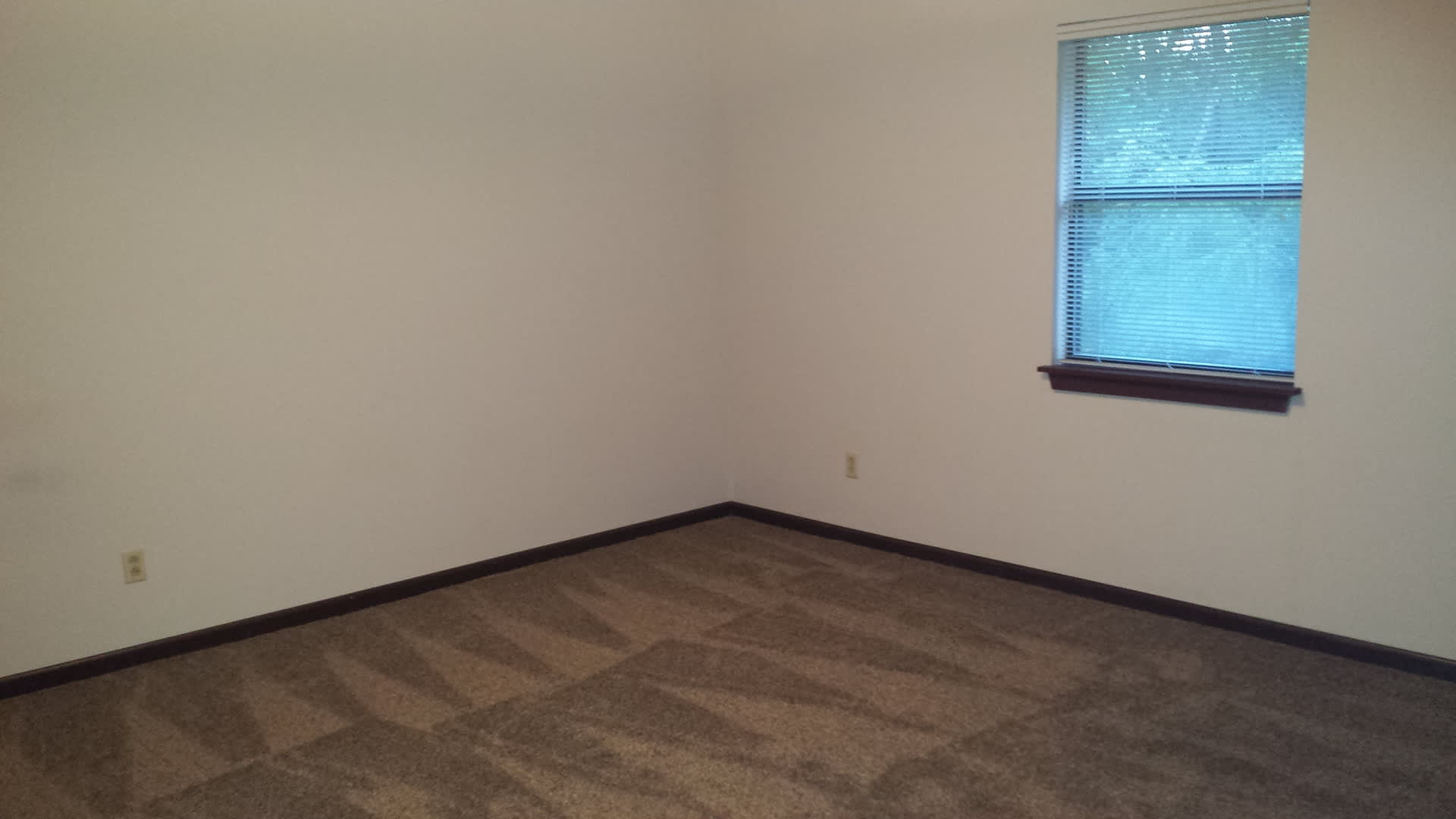 2 bd,1 ba top level Smithton condo, w/d, deck overlooking trees by Broadway and Hwy 63 – photo 5