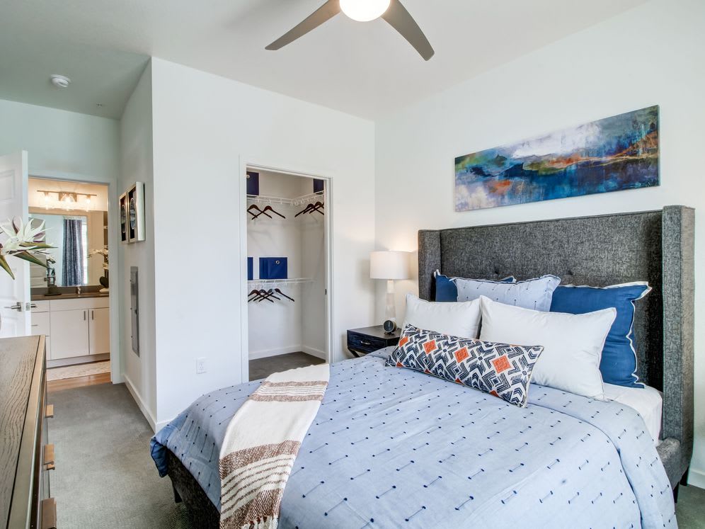 Avalon Flatirons – photo 5
