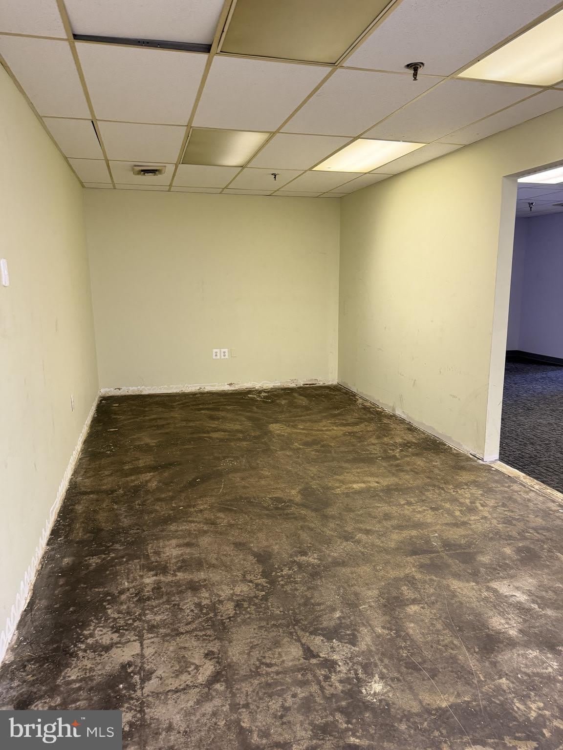 8196 TERMINAL Road – photo 4
