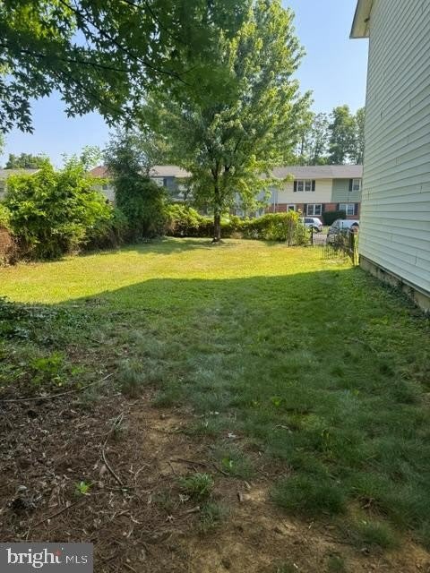 237 Cameron Street – photo 4