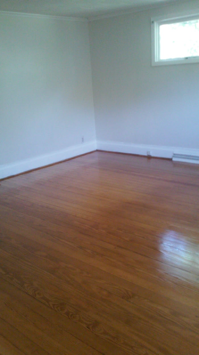 1854 Lake Road – photo 3