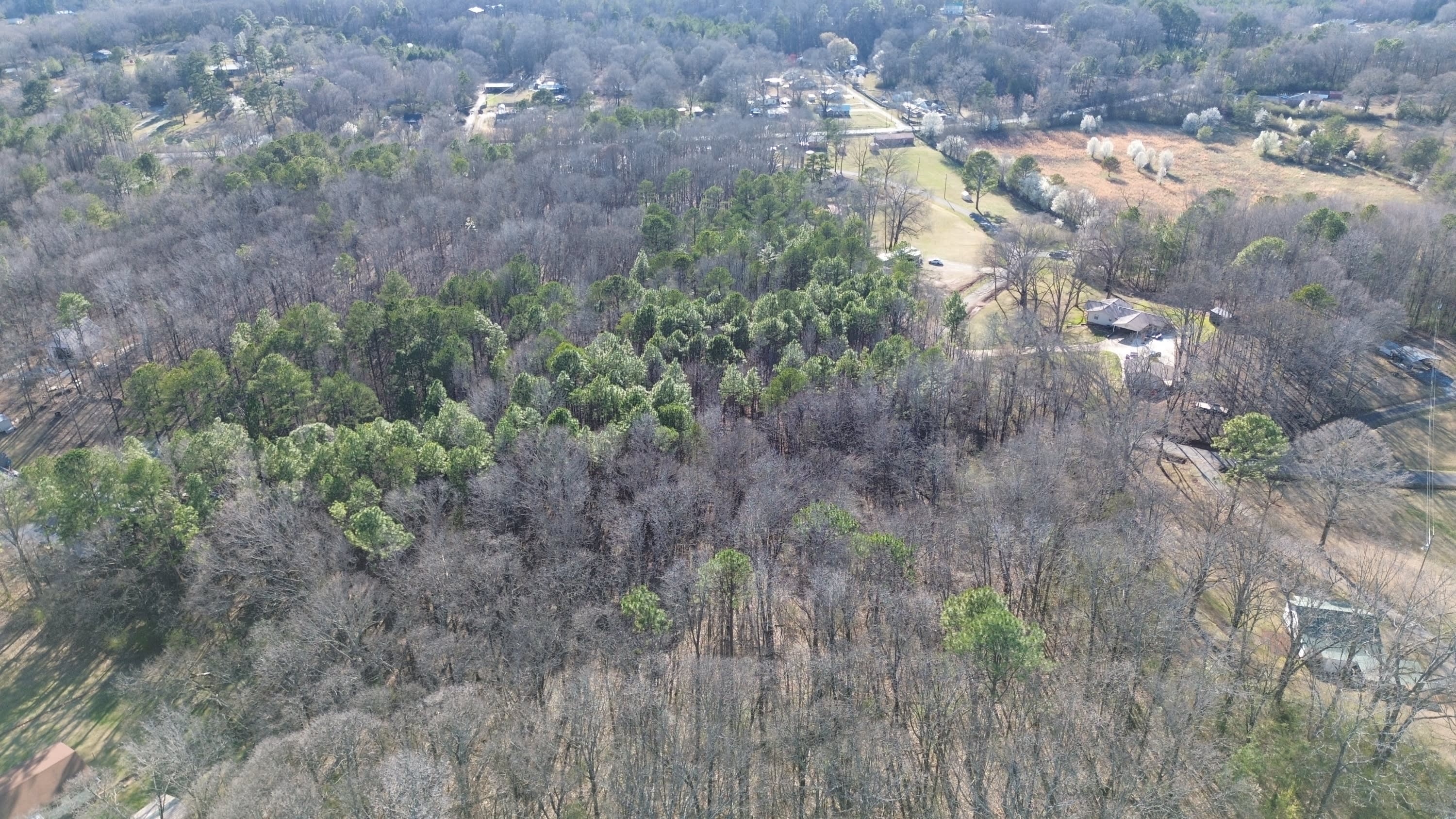219 Crestview Road – photo 4
