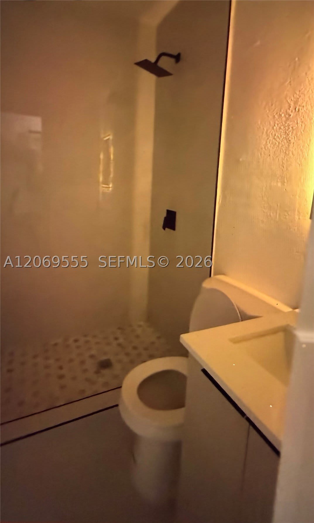 6905 NW 4th Ct – photo 5