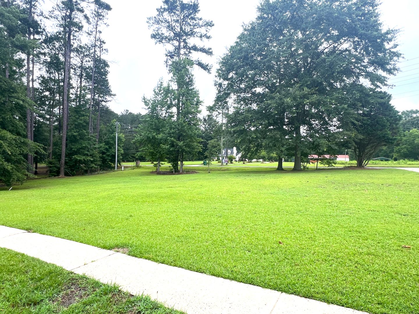 Country Living in Kathleen!! – photo 4