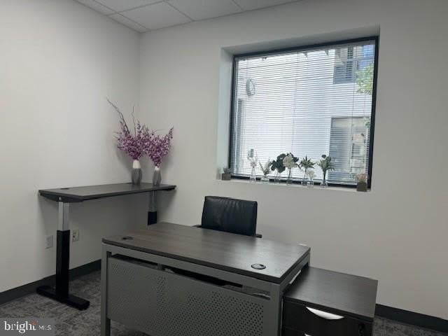 12 PENNS Trail – photo 4