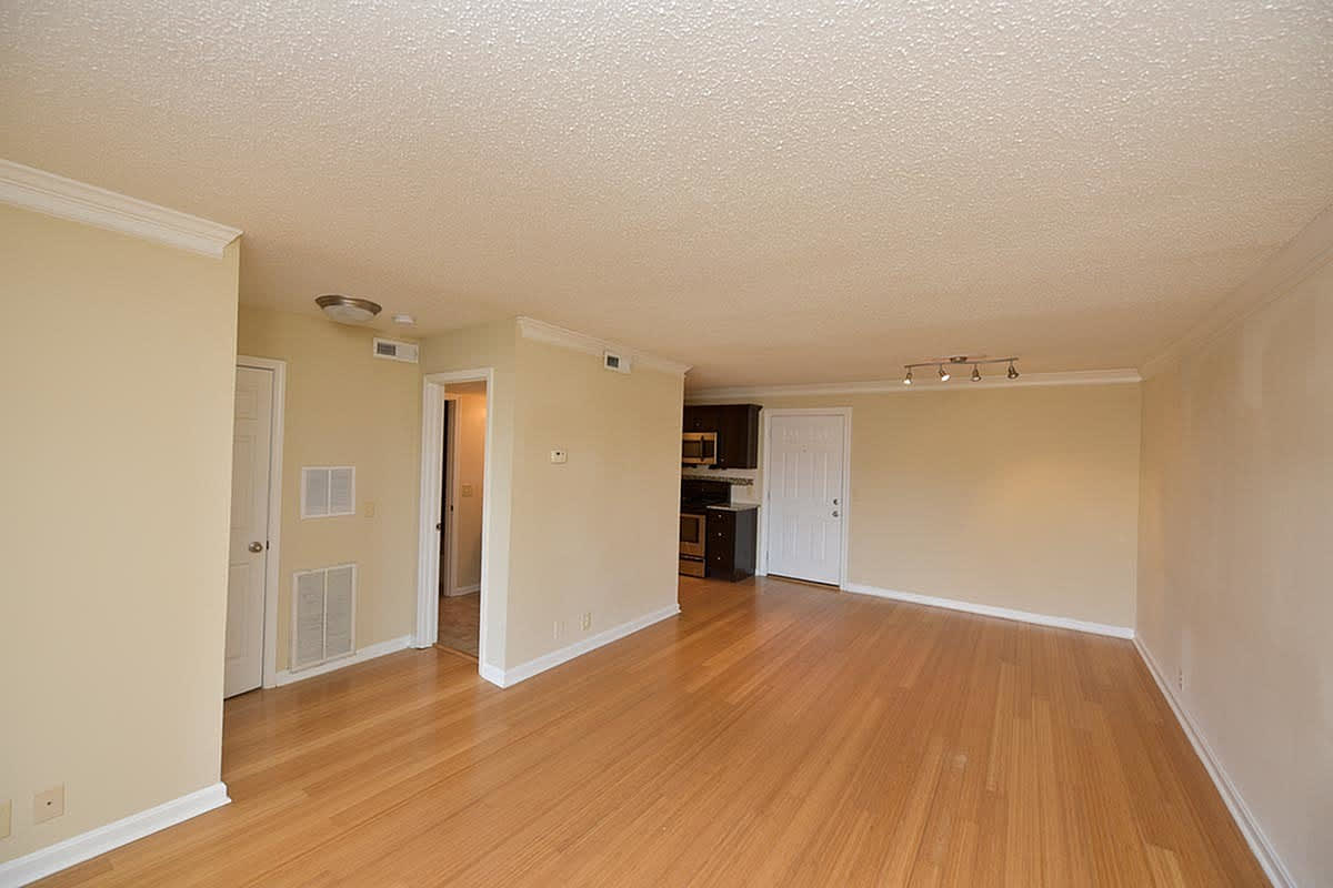 Starline Apartments – photo 5