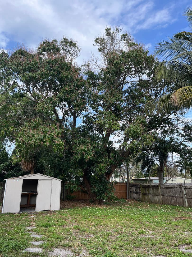 Newly renovated 3/2 for rent! – photo 5