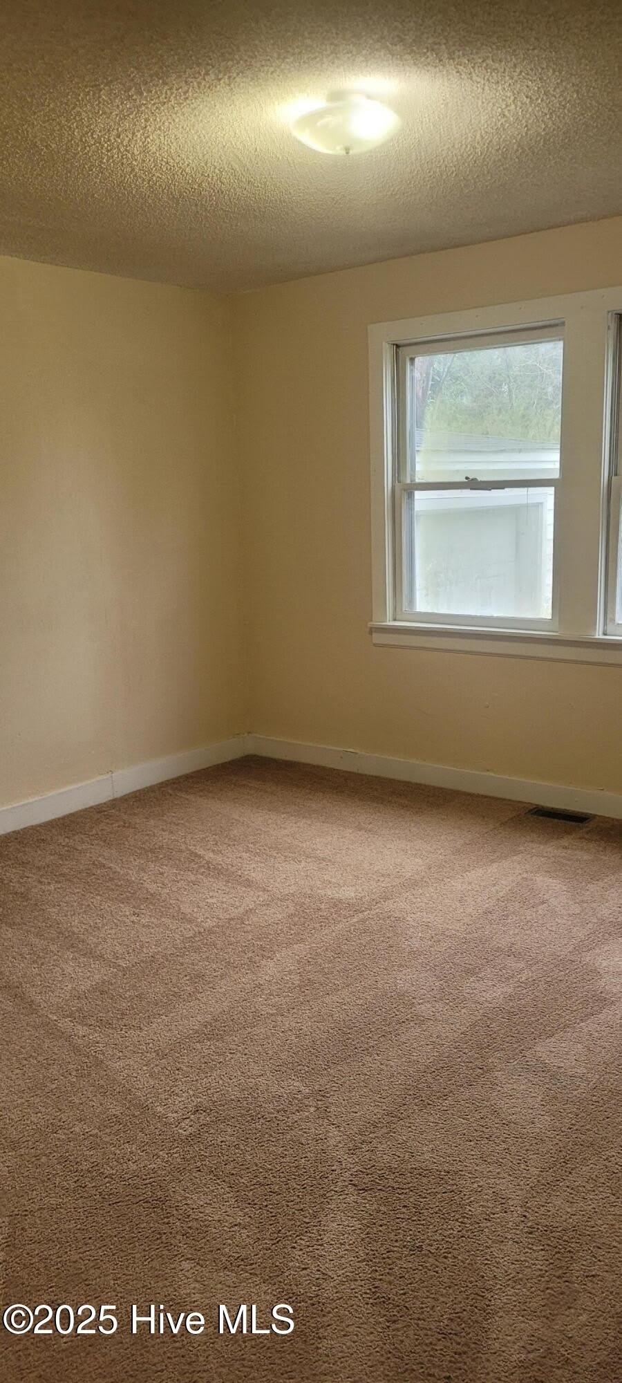 313 Culpepper Street – photo 3
