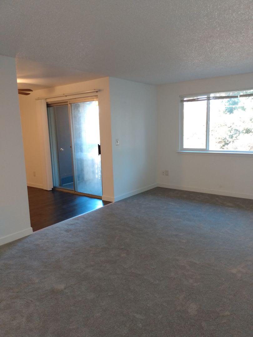 South Hill Apartments – photo 5