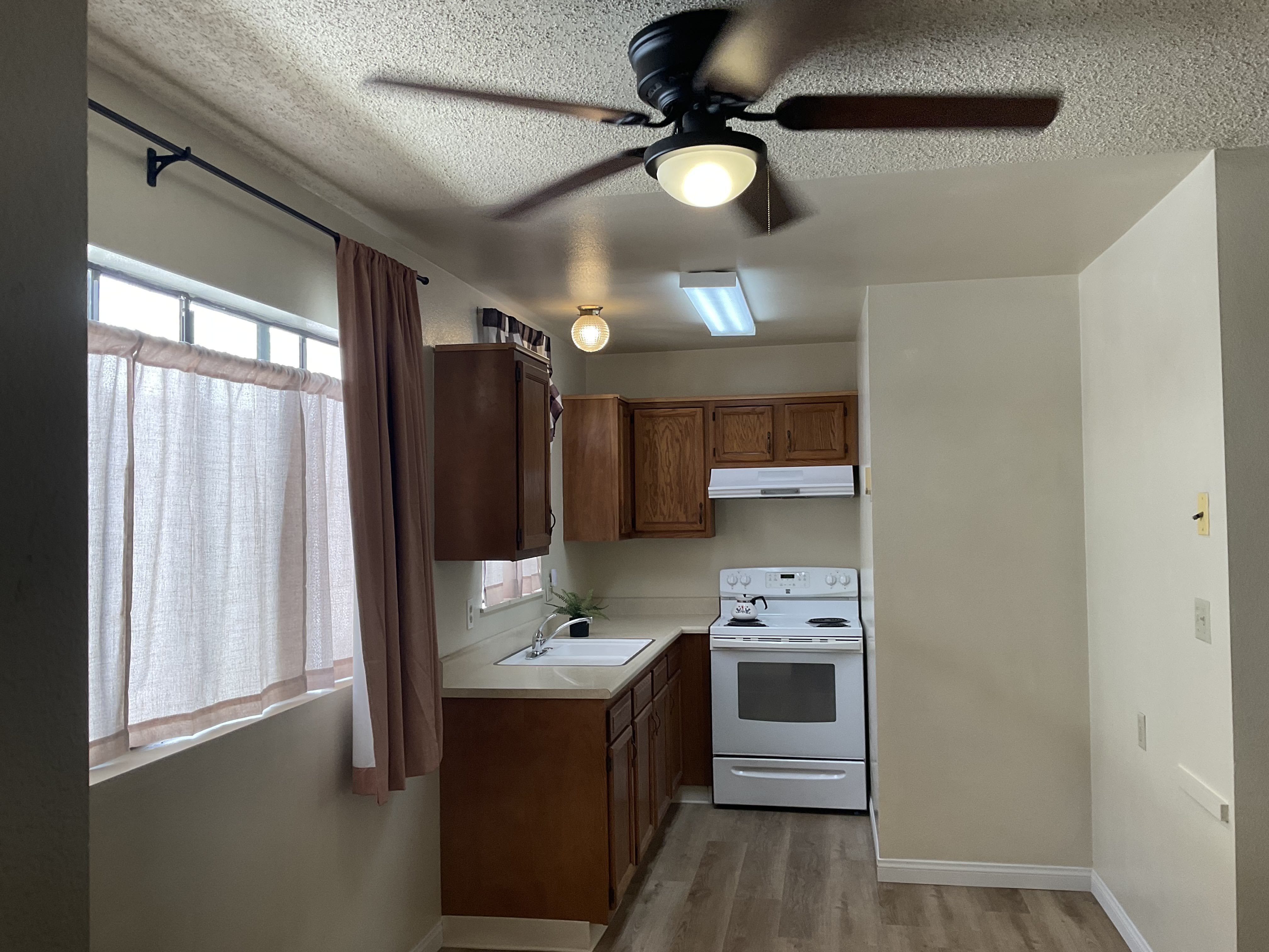 209 Green Street – photo 2