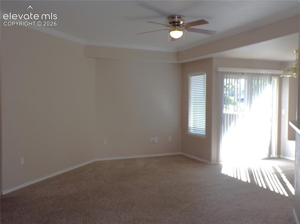 3815 Riviera Grove – photo 3