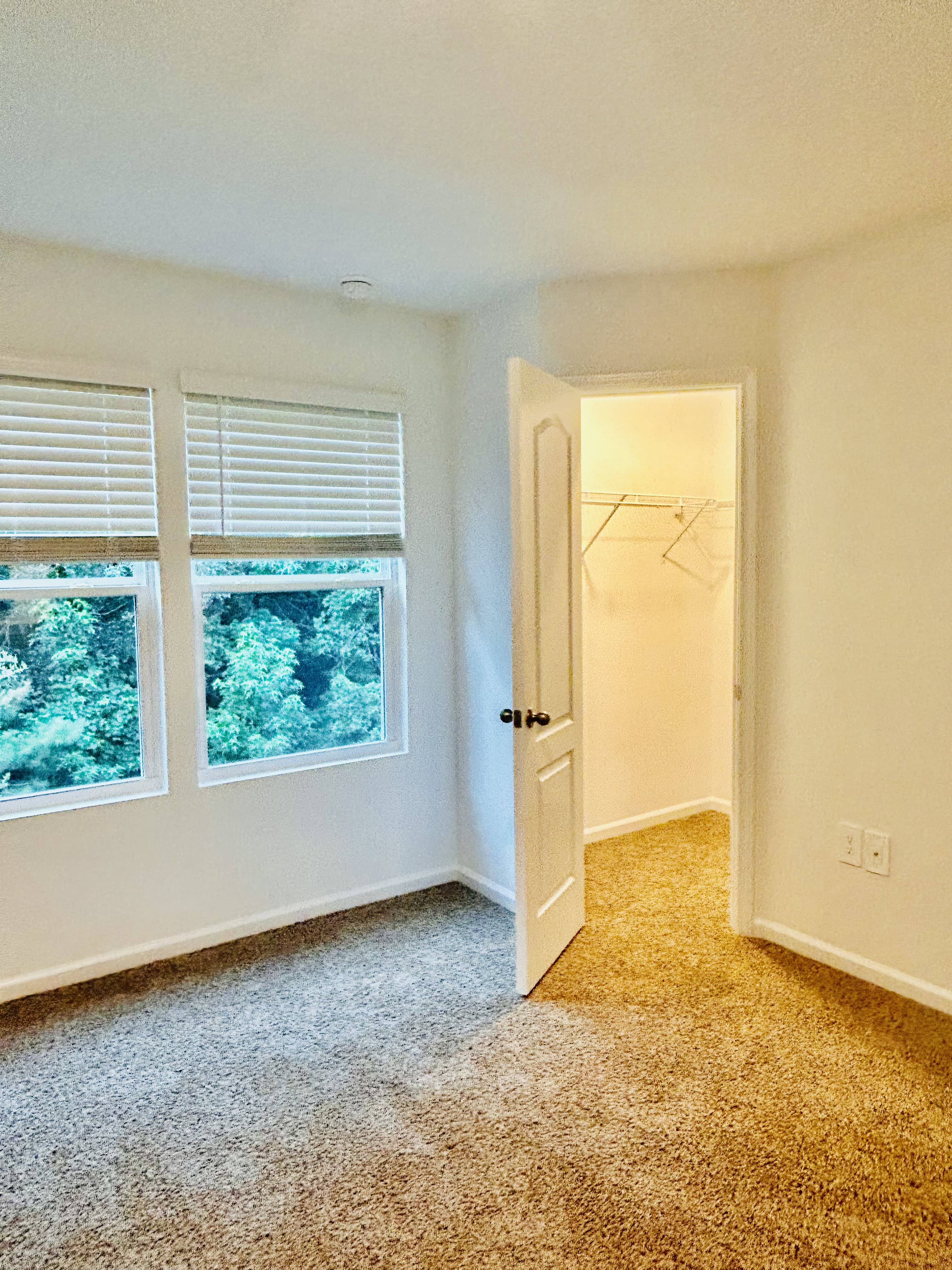 9011 Alpine Aster Rd – photo 5