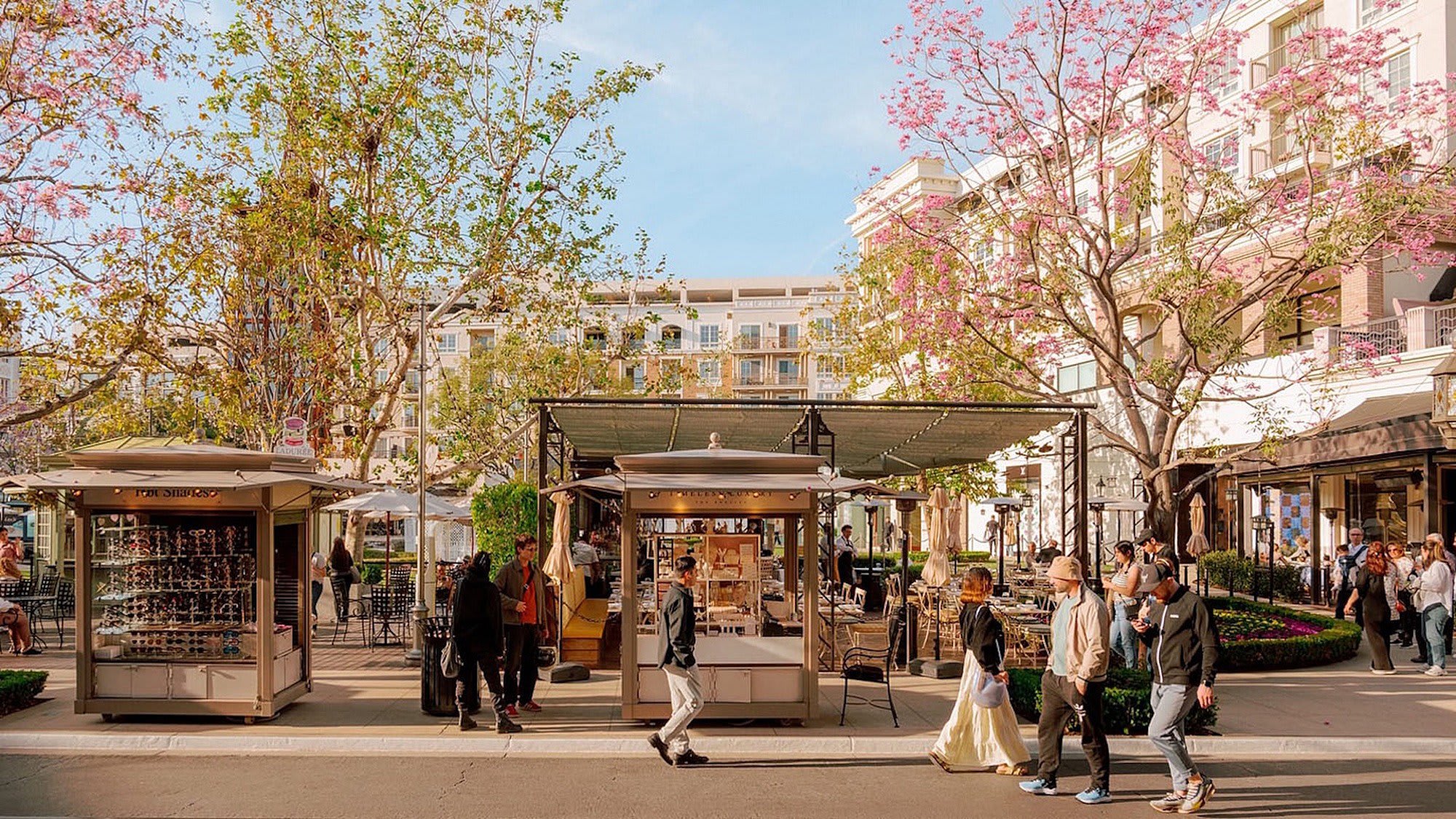 Brio – photo 4