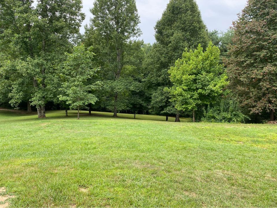 204 Greenbrier Drive Road – photo 3
