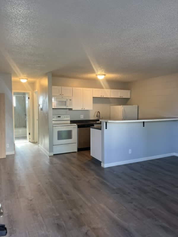 2229 Collyer Street – photo 2
