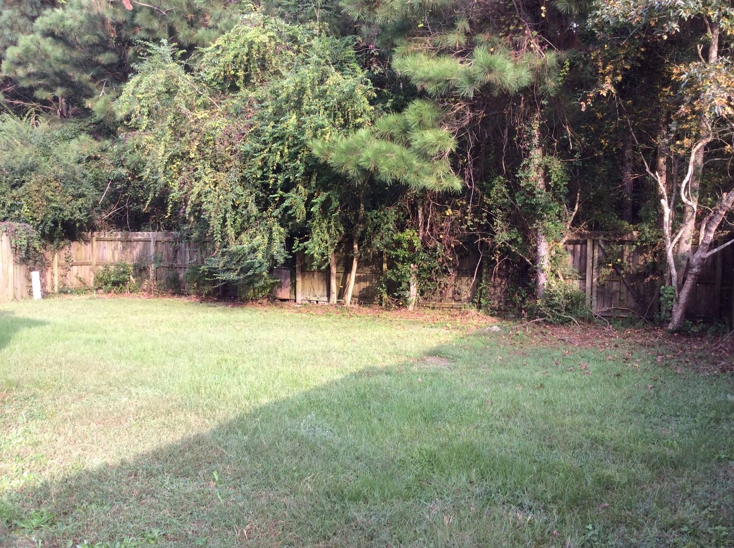 Short Term Rental – photo 4