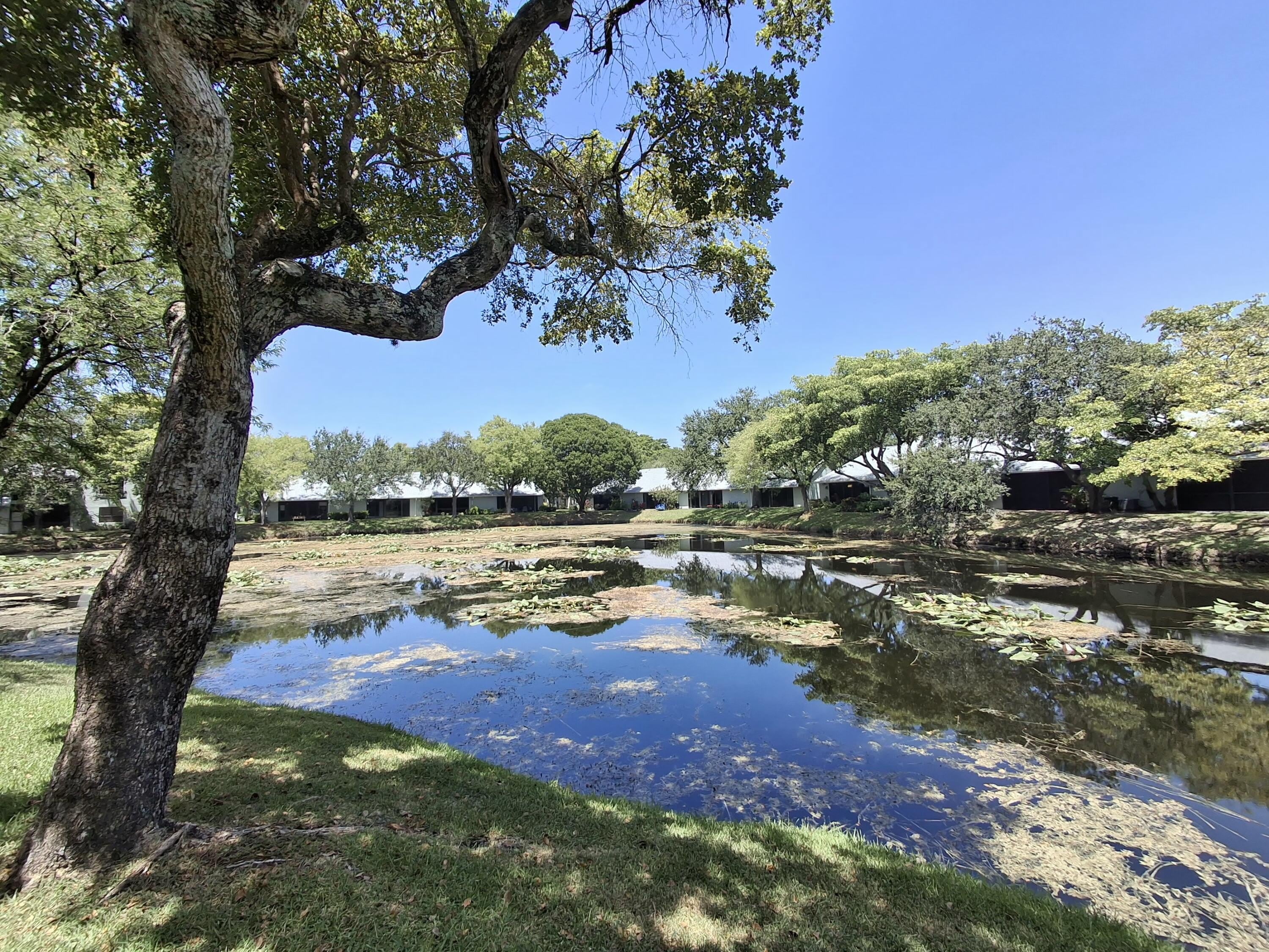 4017 CARAMBOLA Circle N – photo 4