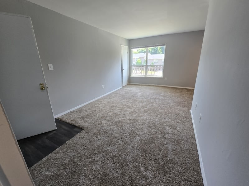 1227 Nelson St – photo 3