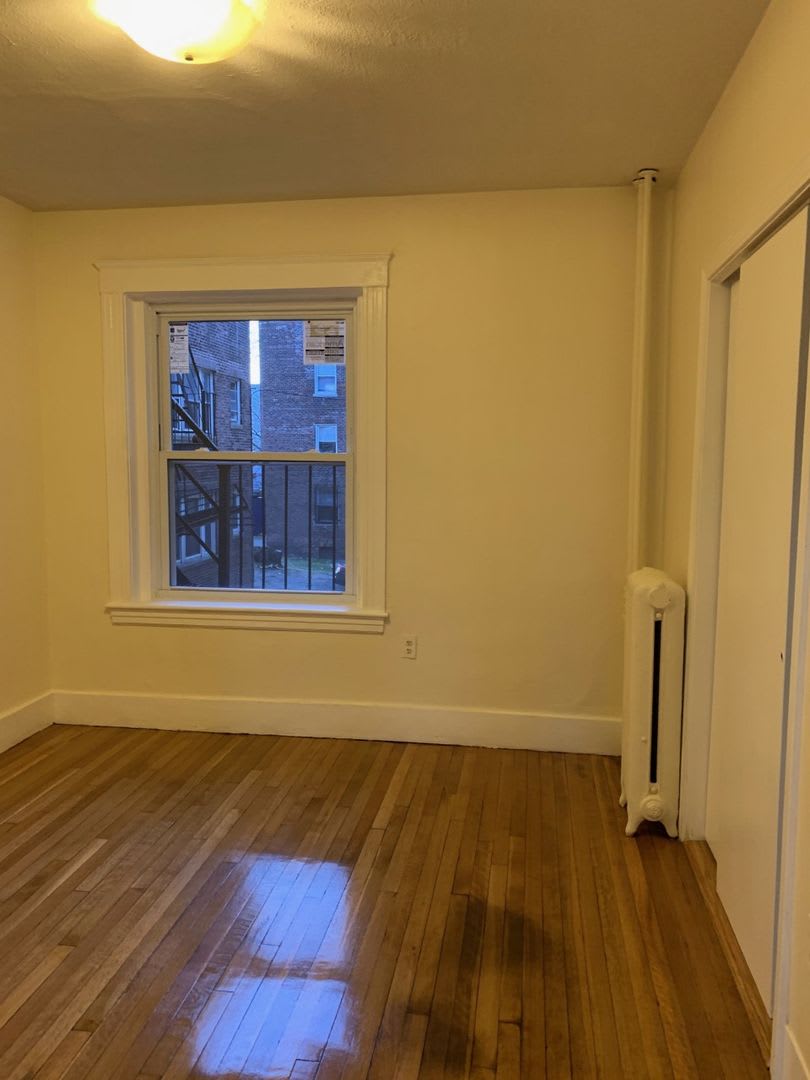 No Fee! Gorgeous Comm Ave Apt by T! Modern Appliances. Cat & Small Dog OK – photo 4