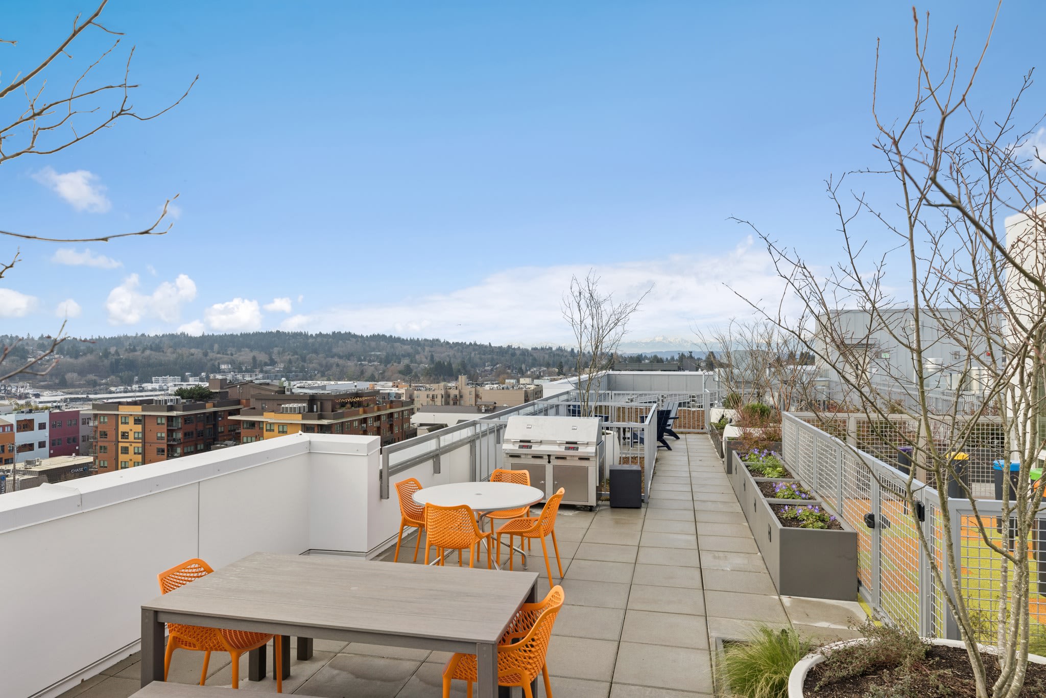 St Luke's Apartments – photo 4