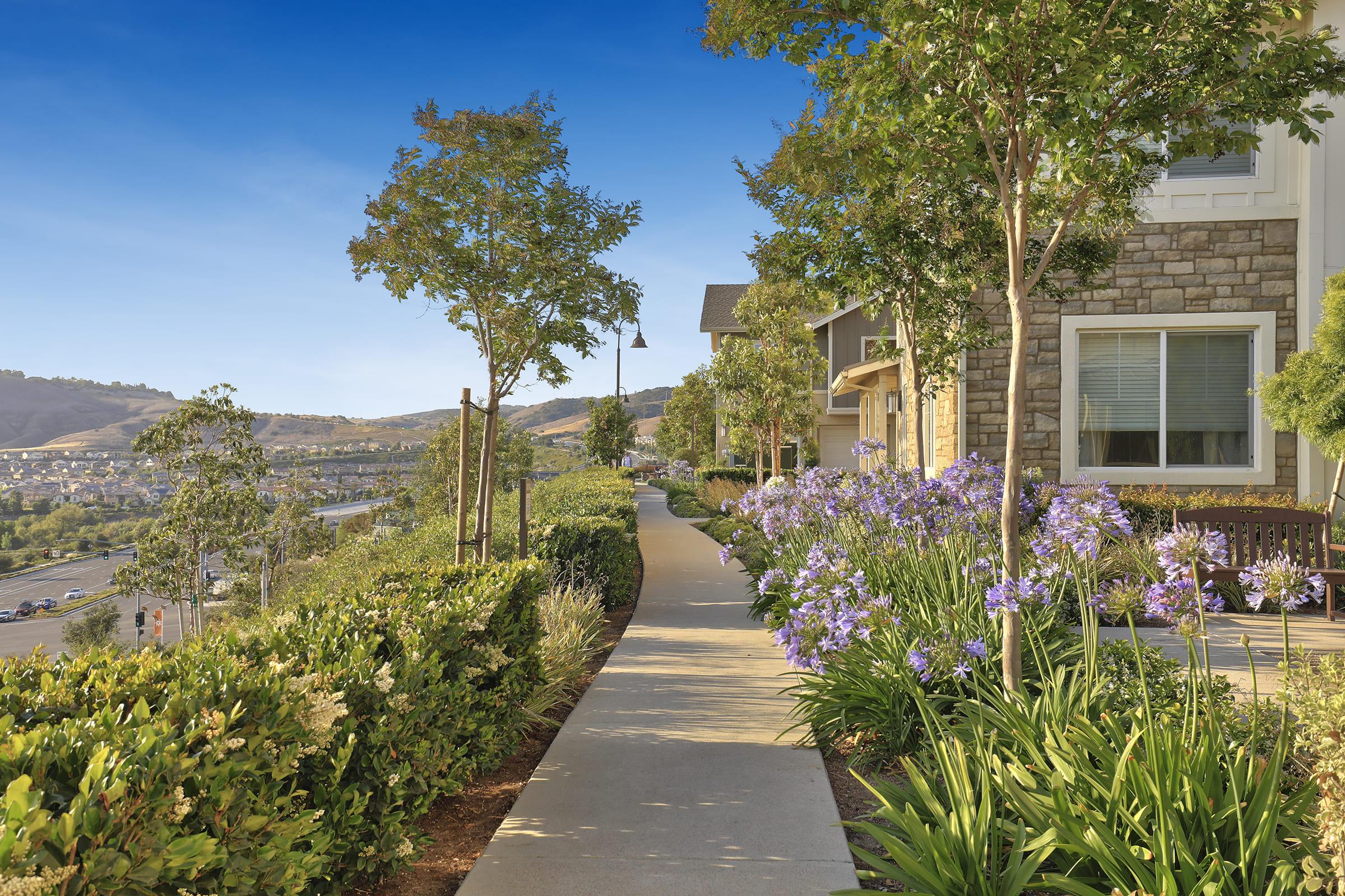 Sendero Gateway Apartment Homes – photo 4