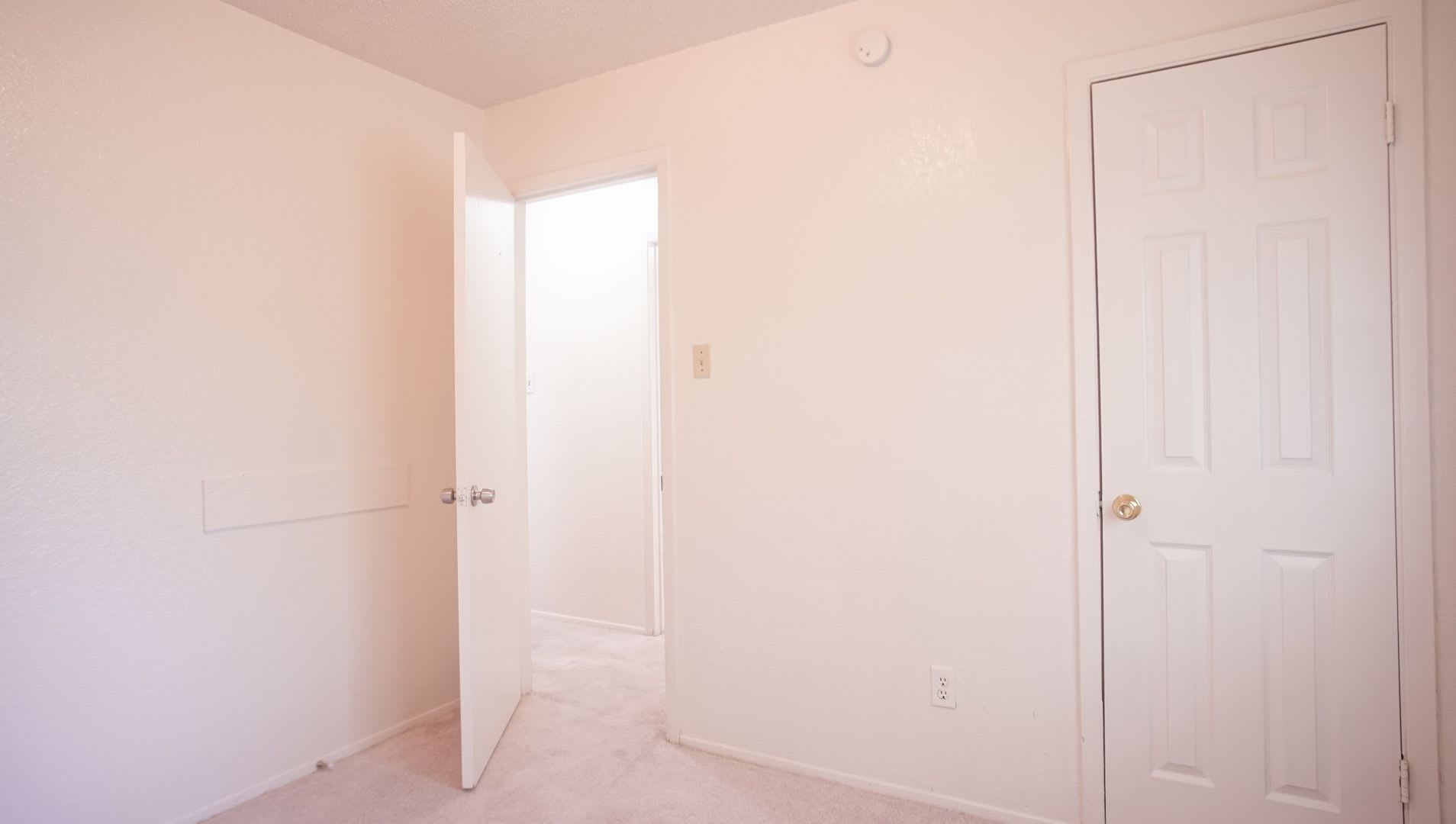 2/1 Apartment in East Austin – photo 4