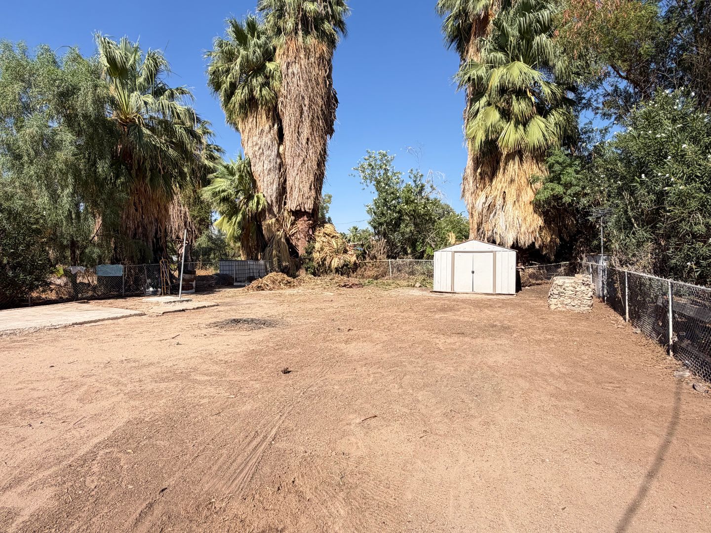 315 S Magnolia Ave – photo 5