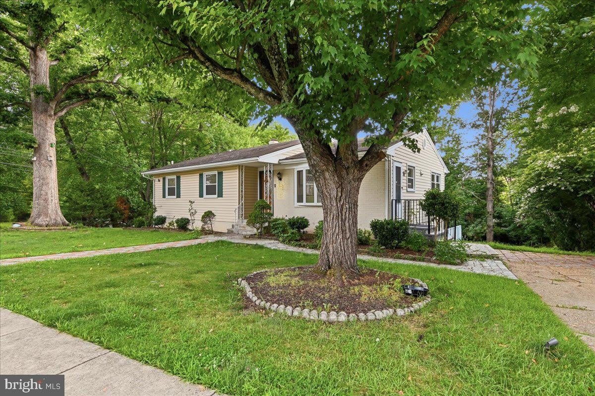 131 CASMAR Street SE – photo 3