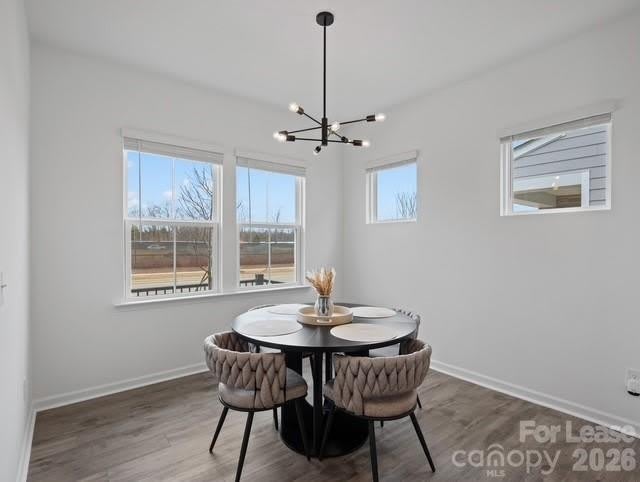 3608 Pamlico Street – photo 4