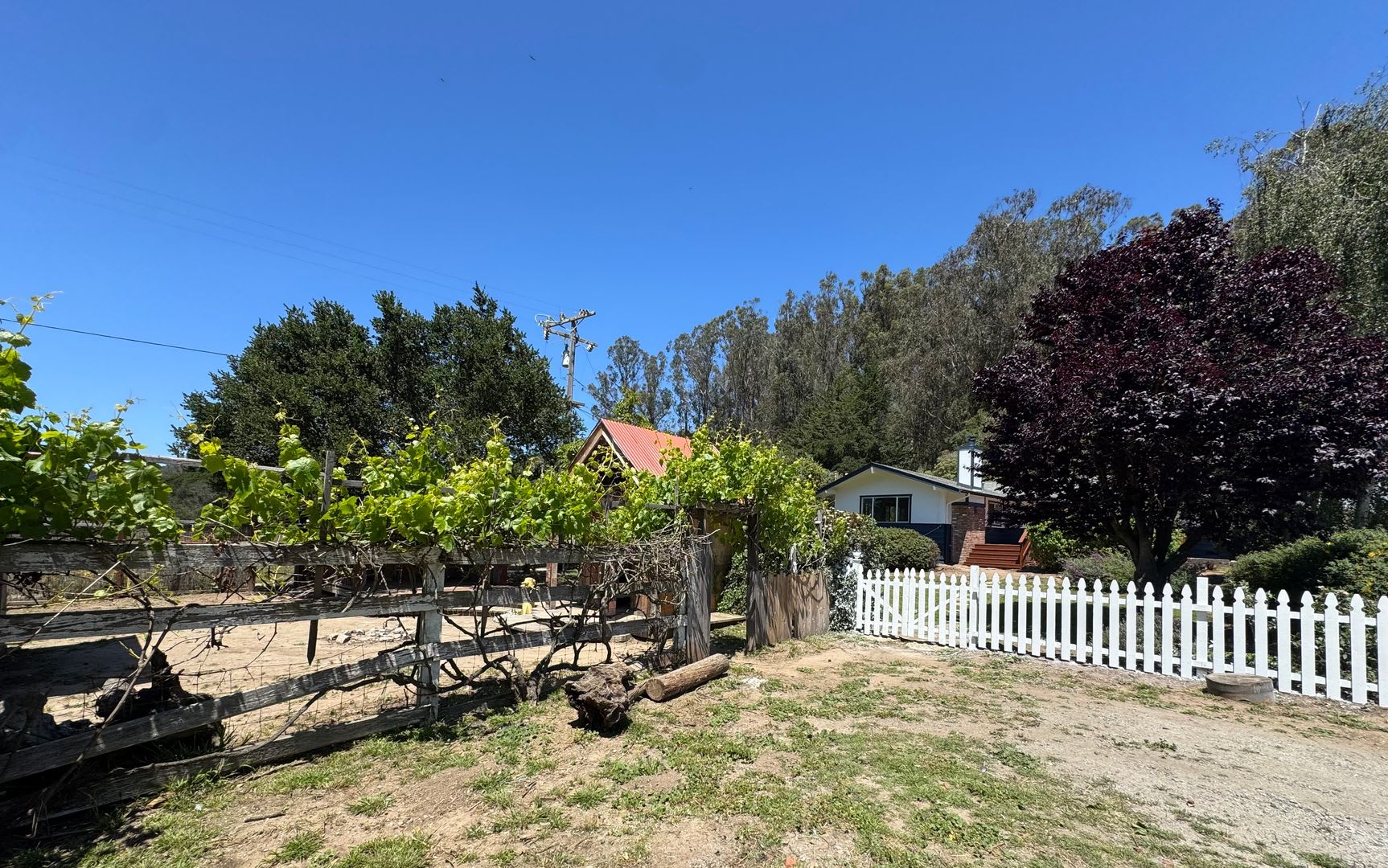 Peaceful Country Living – photo 3