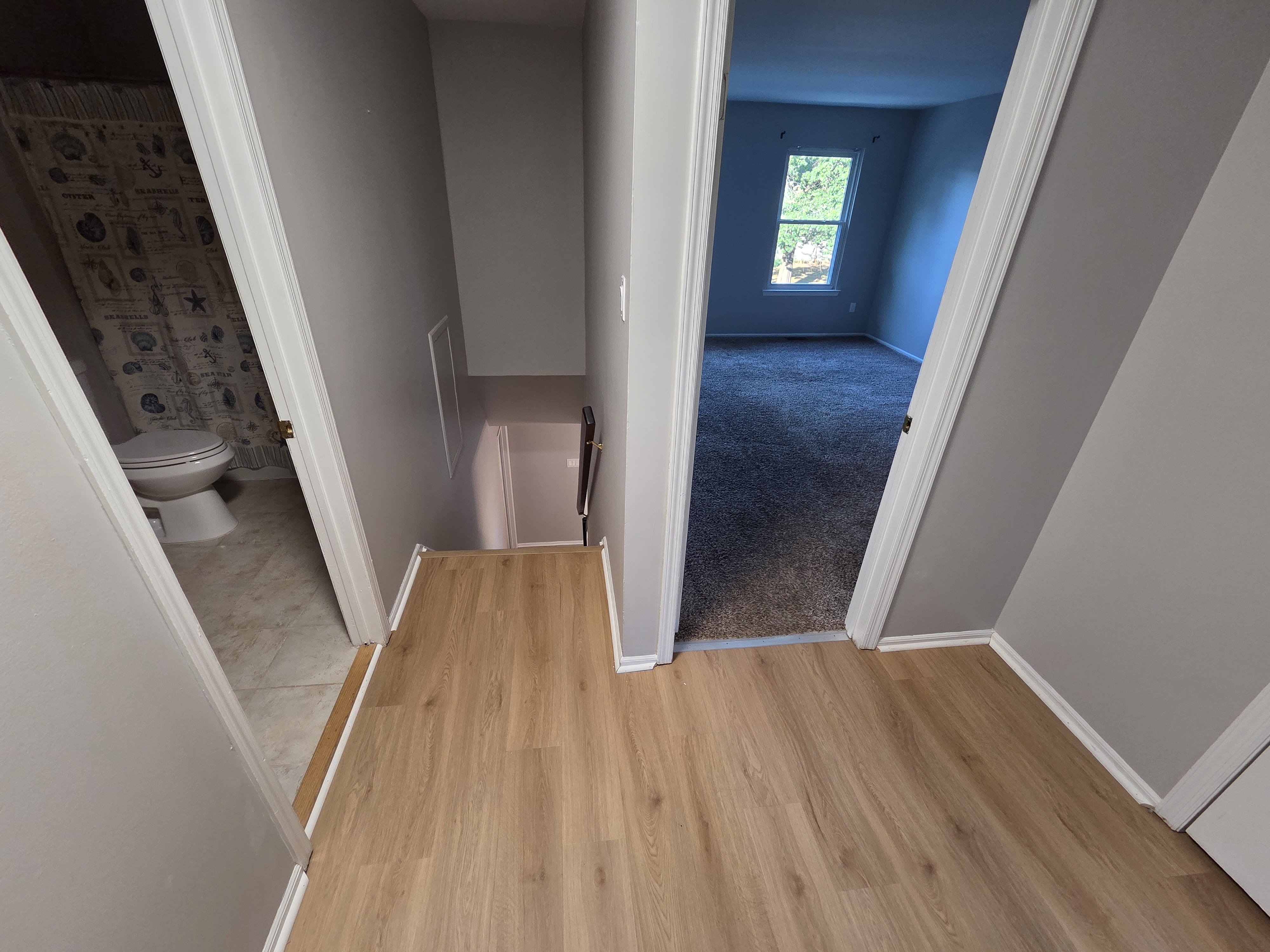 3904 Elberta Lane – photo 5