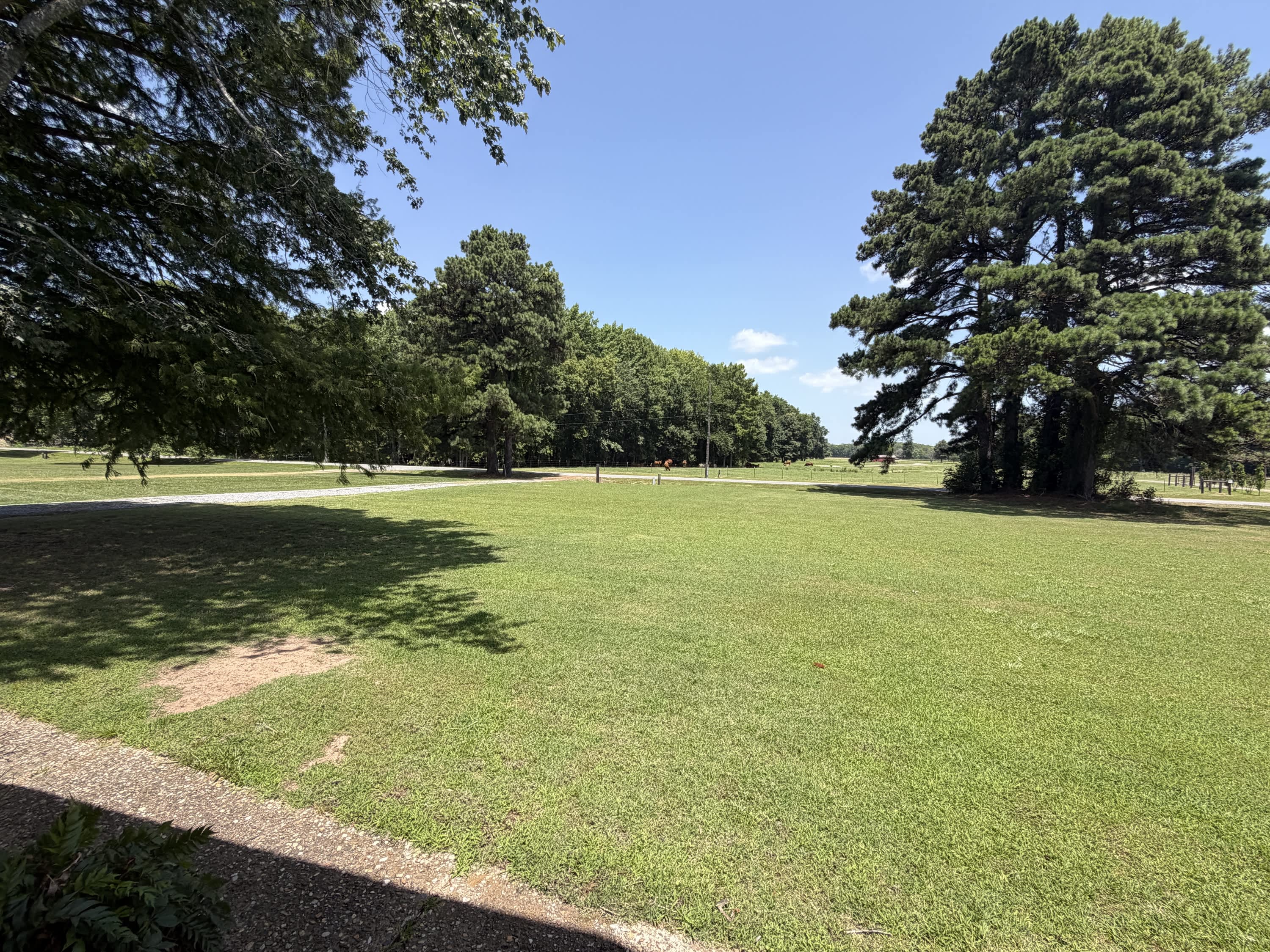 14738 Faulkner Lake Road – photo 5