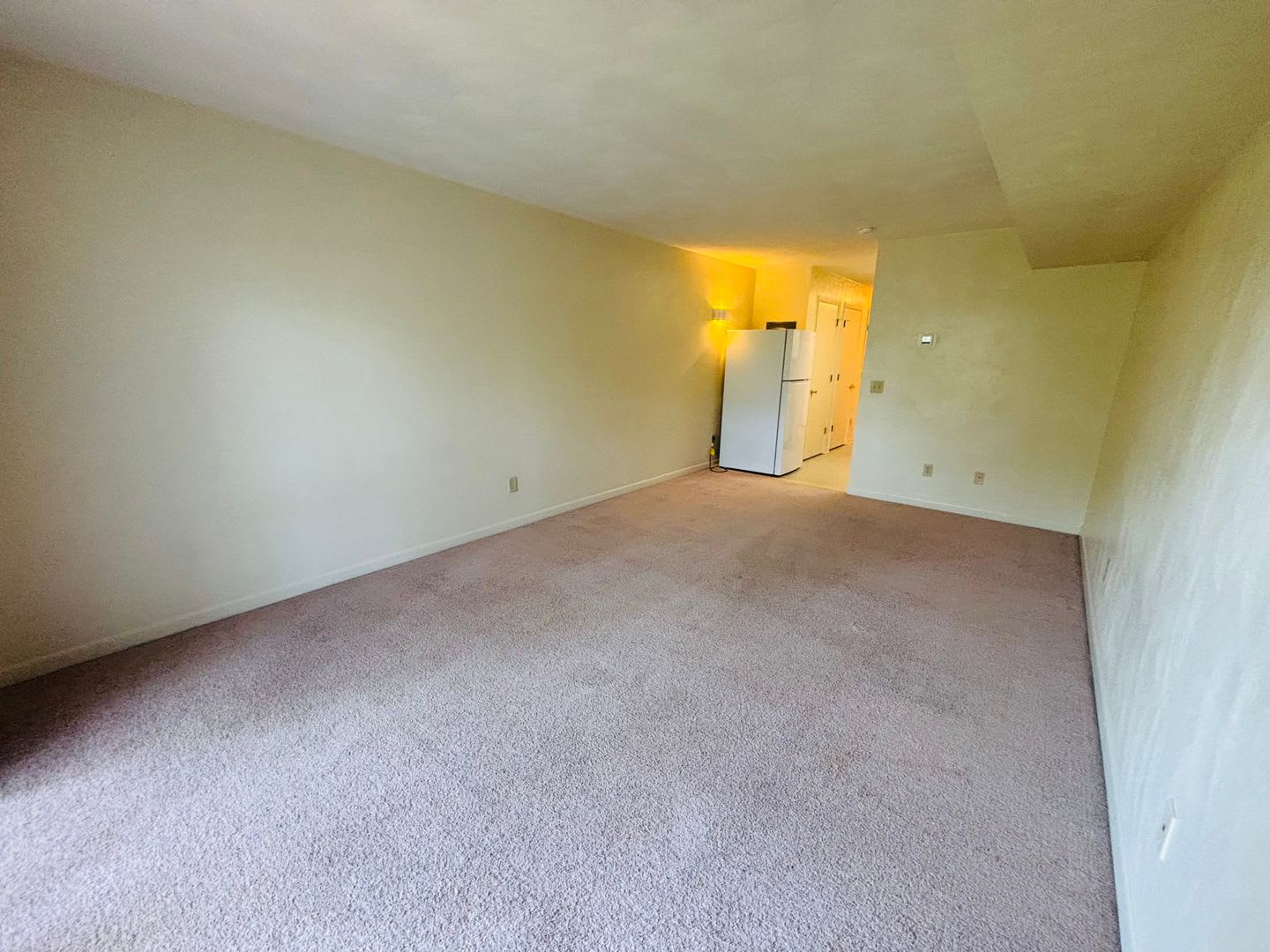 Efficiency 1 Bathroom Condo – photo 3