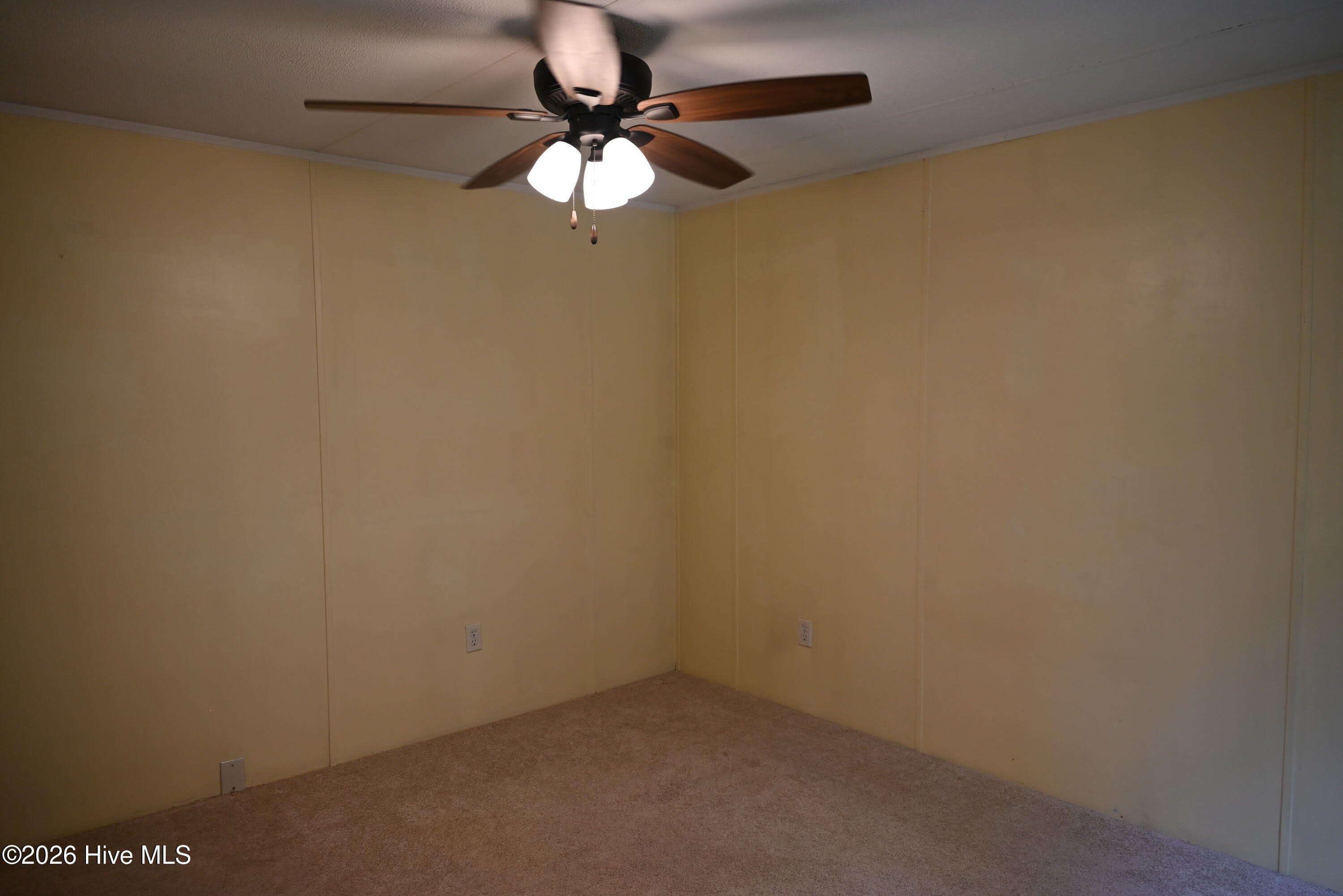 164 Short Road – photo 5