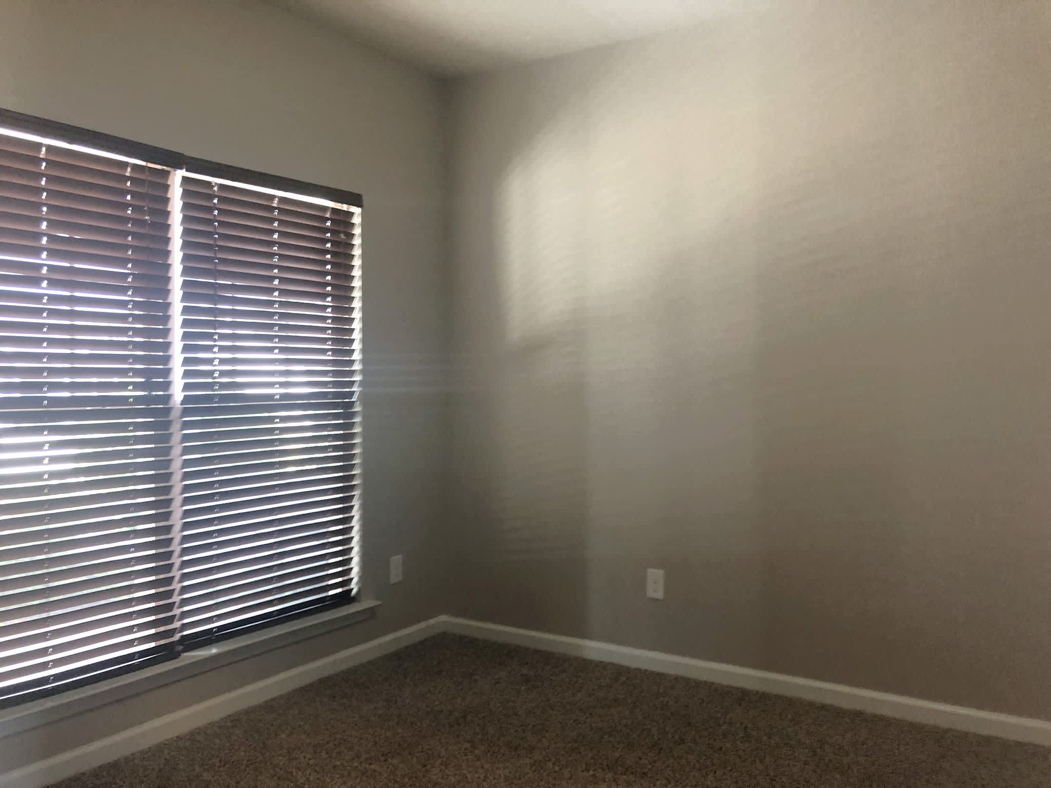 131 Cryptomeria Way – photo 4