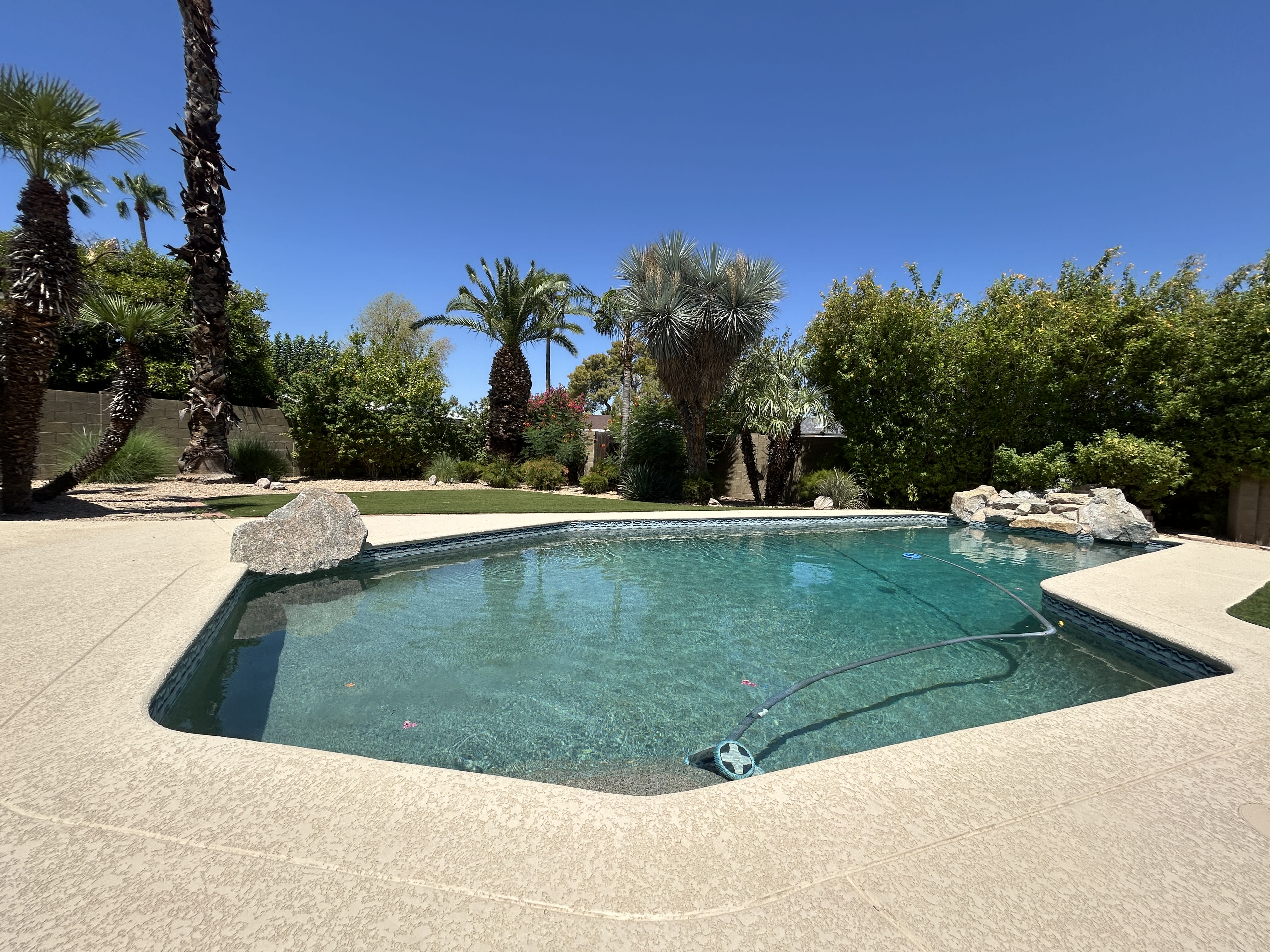 3924 E Yucca St – photo 5