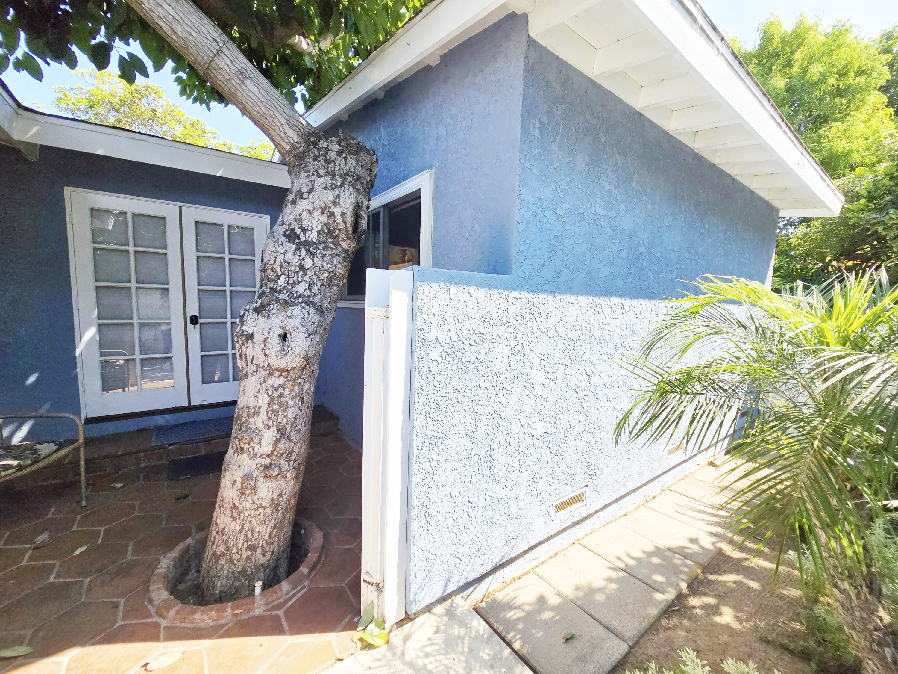 819 Hymettus Avenue – photo 5
