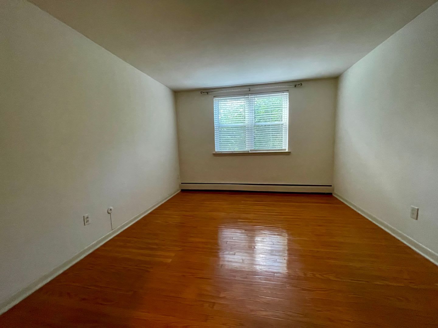 Spacious 1 Bed / 1 Bath Apartment – photo 4