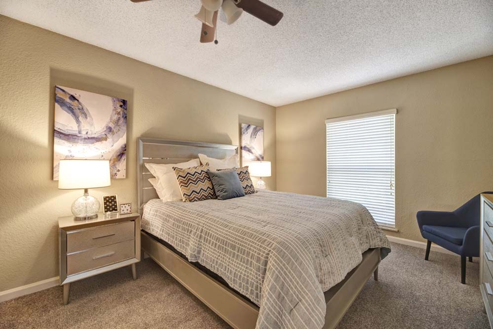 Signal Pointe – photo 4