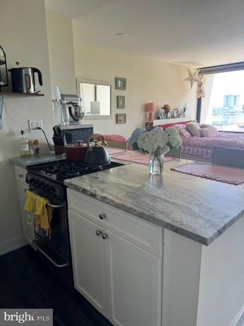 200 LOCUST STREET – photo 4