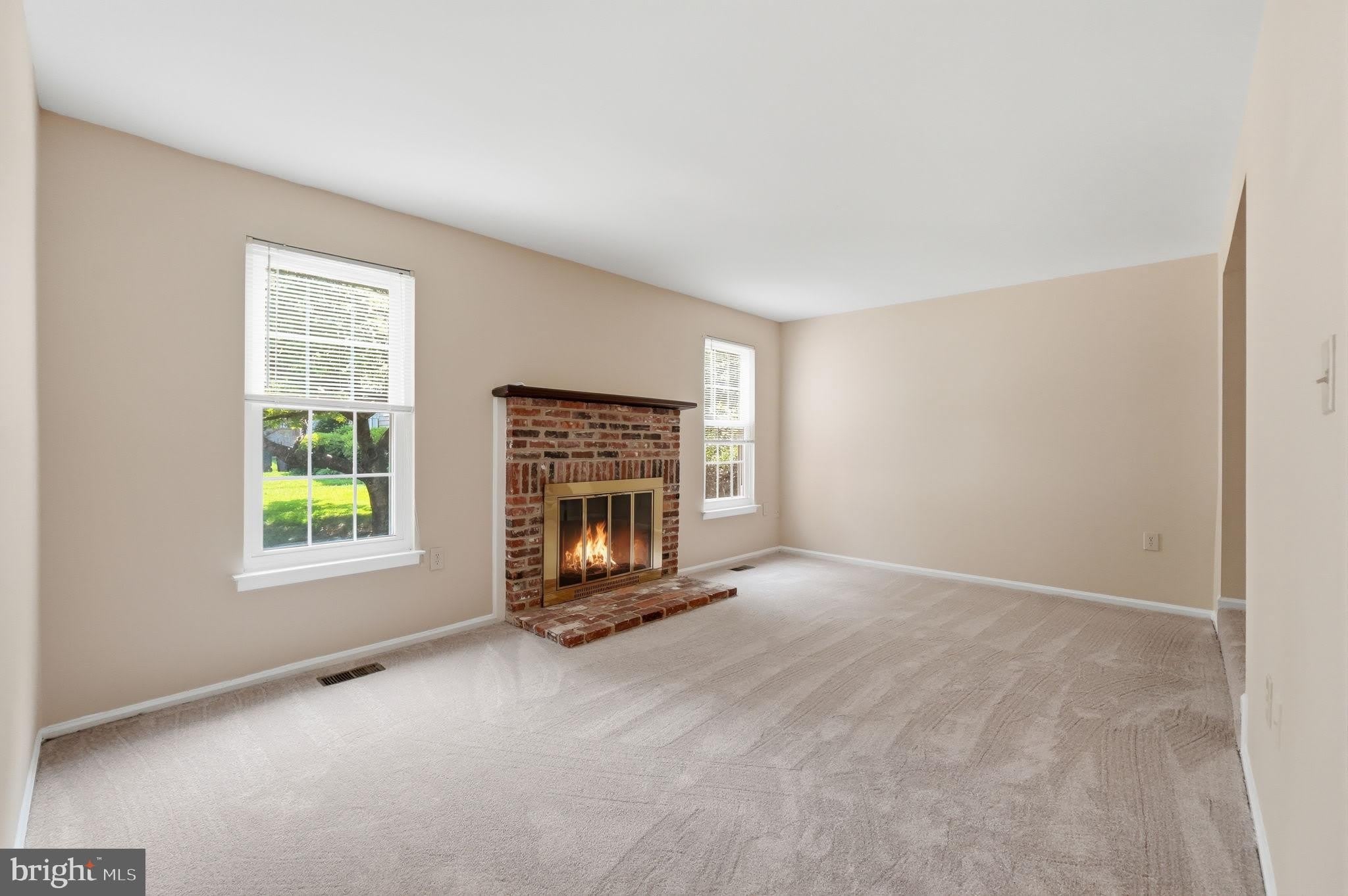 10065 Chestnut Wood Lane – photo 3