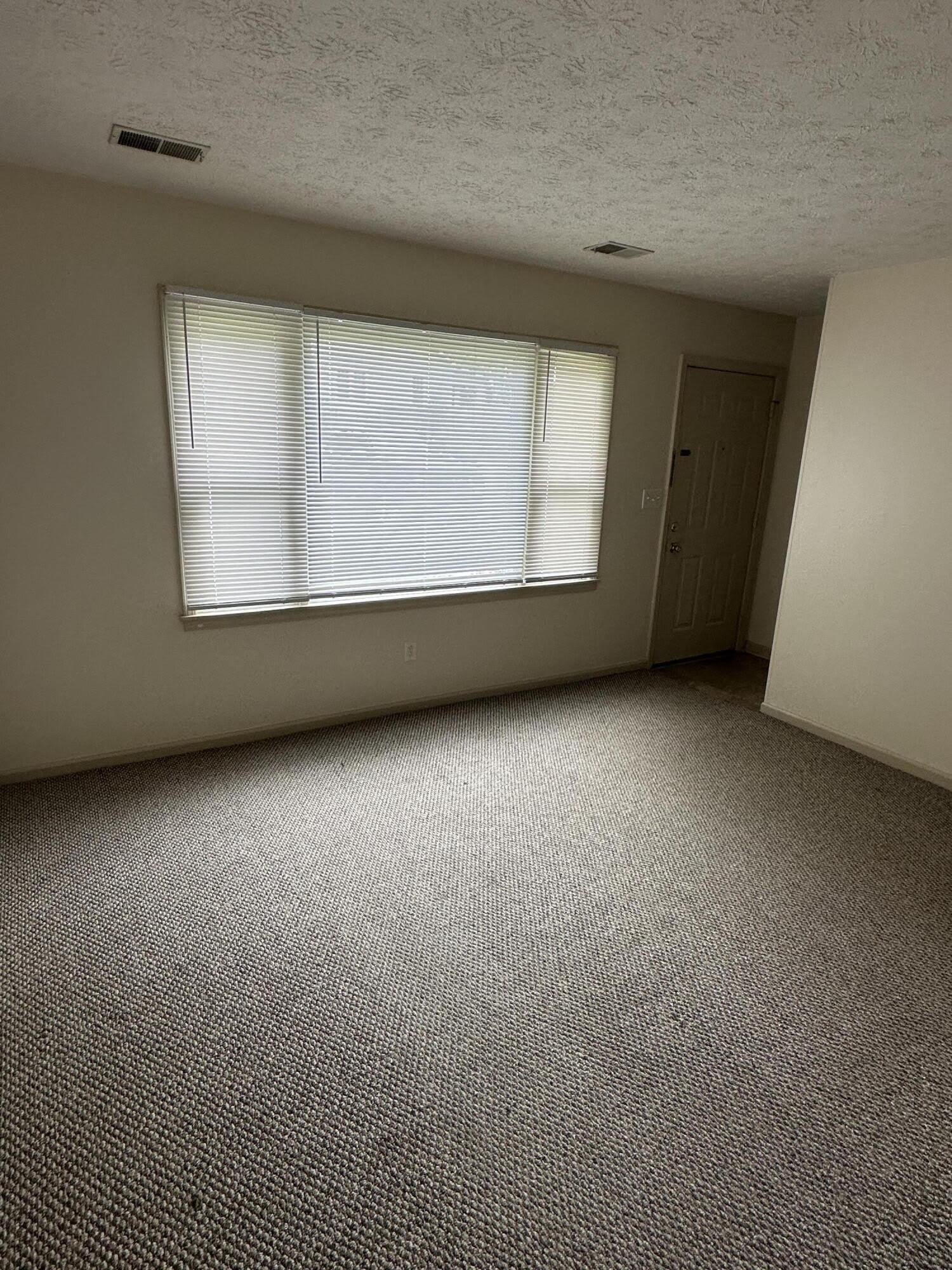 1104 Collins Lane – photo 5
