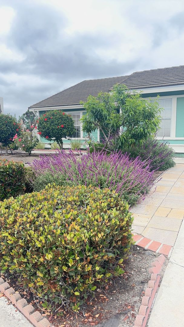 Coming Soon.....Oceanside Cul-de-Sac Charmer – photo 1