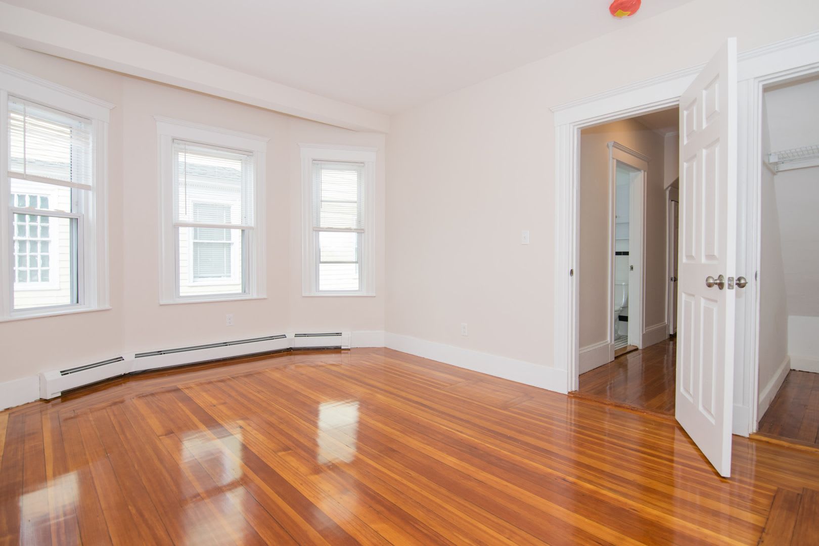 Beautiful and Spacious 4 bed2 bath – photo 3