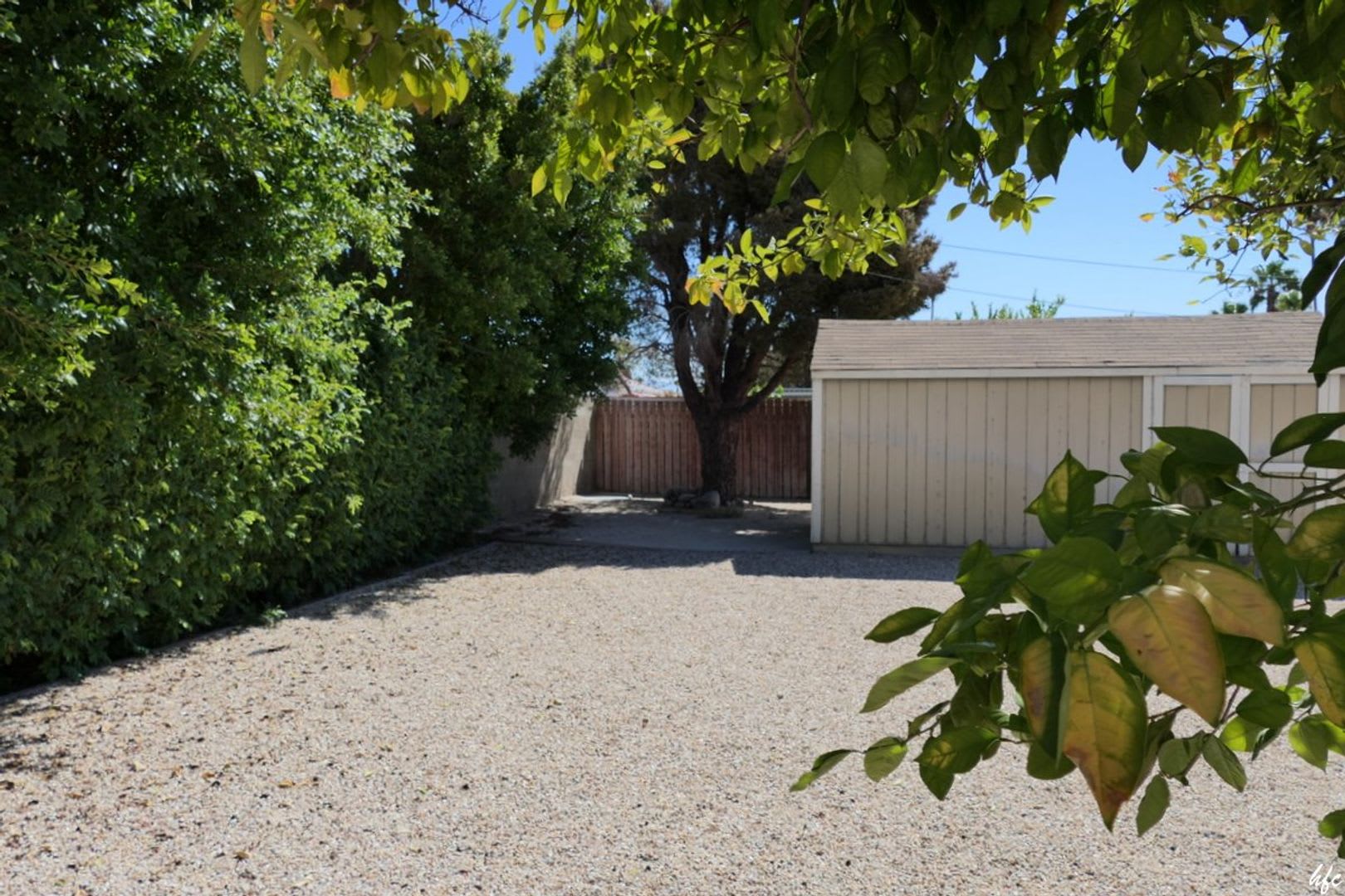 Racquet Club Estates,unfurnished,Long Term – photo 4