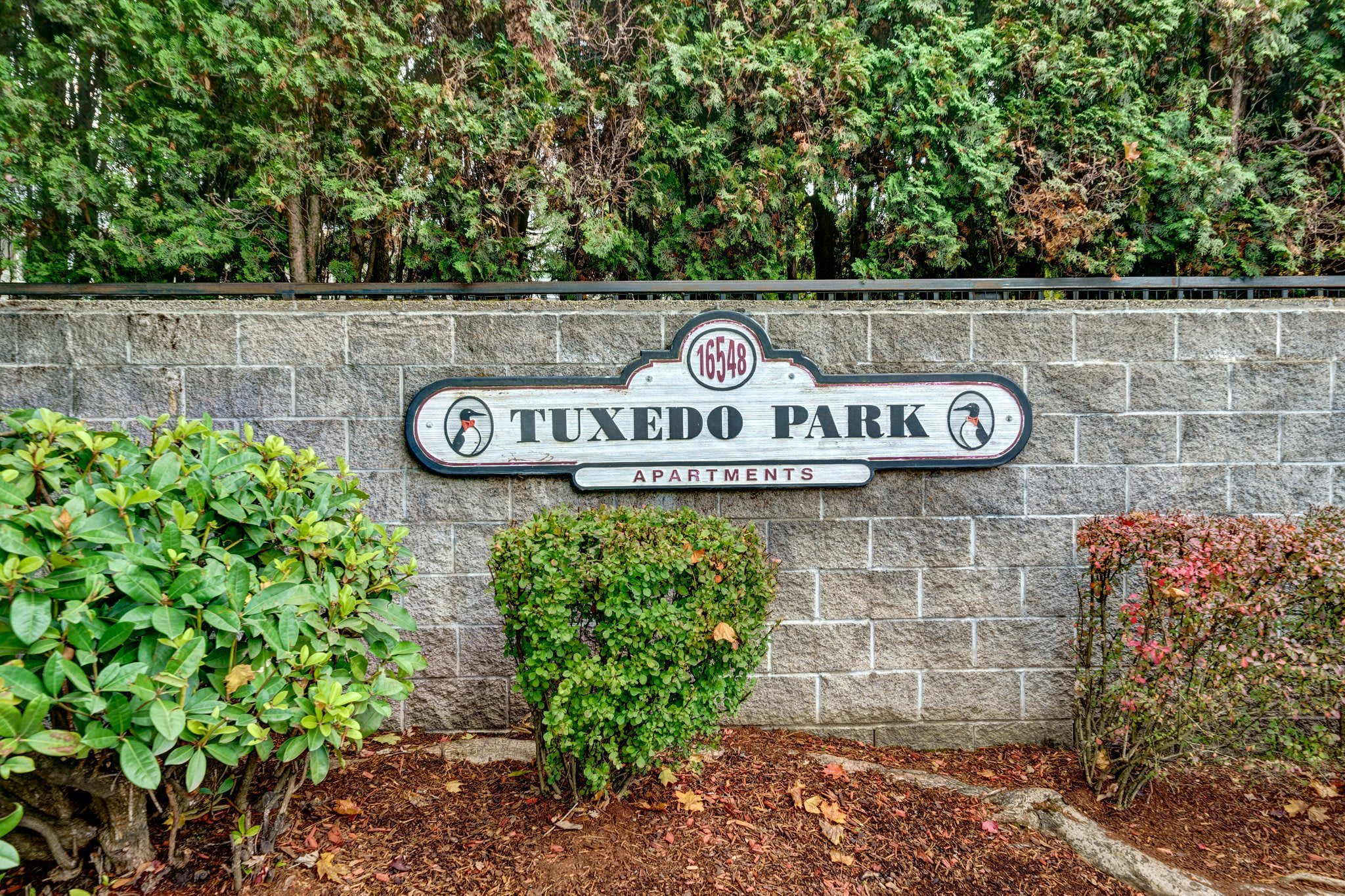 Tuxedo Park – photo 1