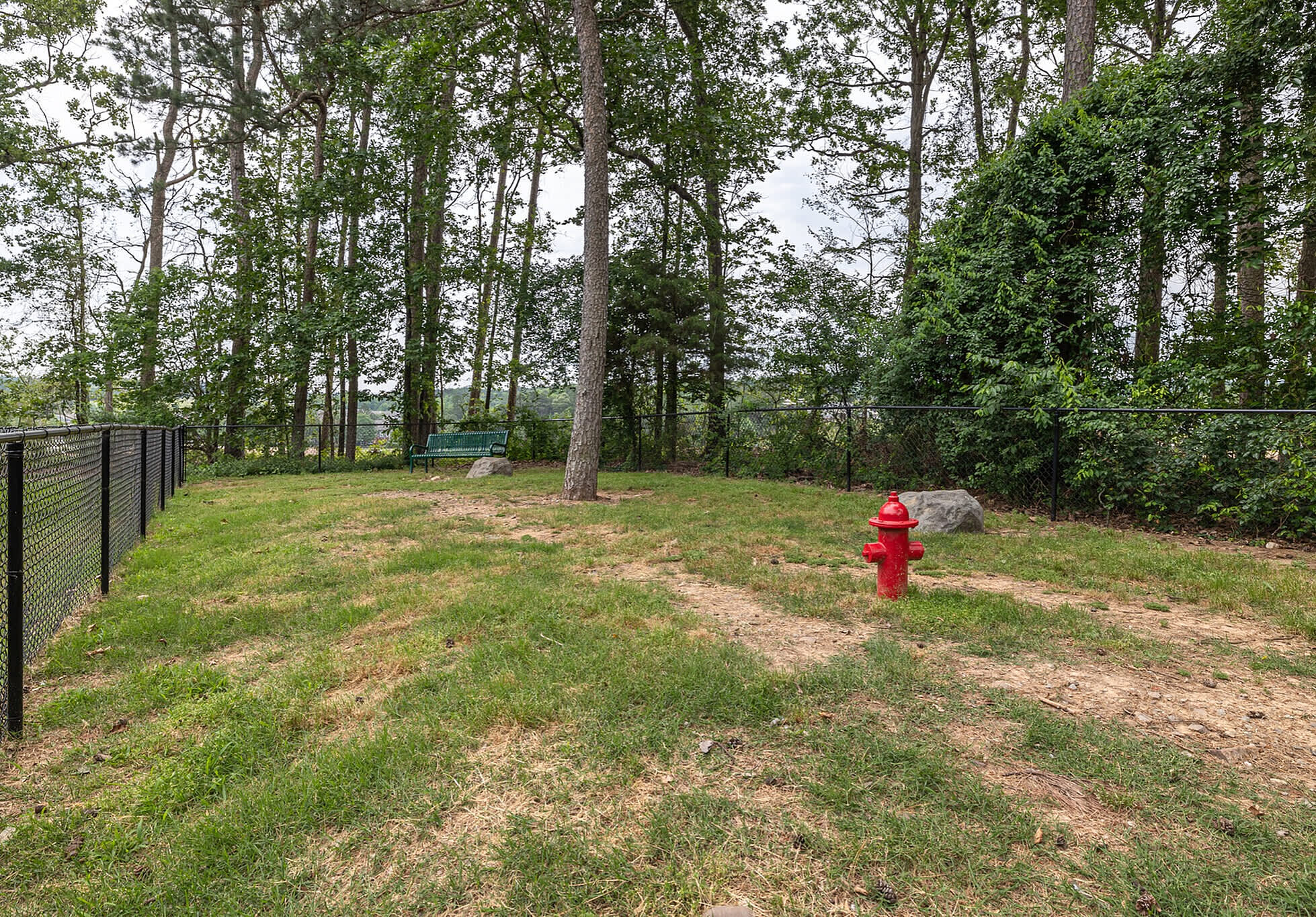Chenal Commons – photo 3