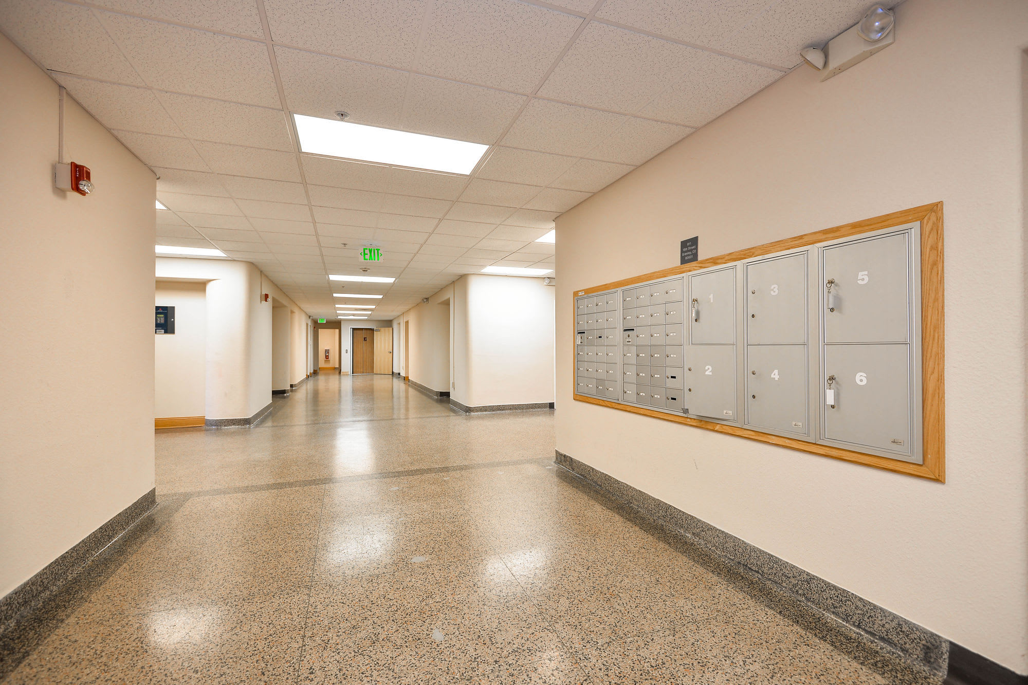 Madison Avenue Apartments – photo 3