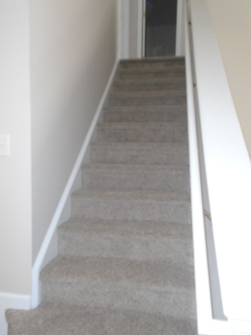 Bridlewood Subdivision – photo 4